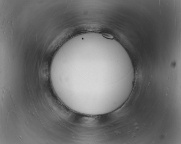 X0000116130170200912211722
