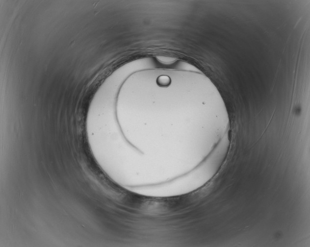 X0000116130174200912211723