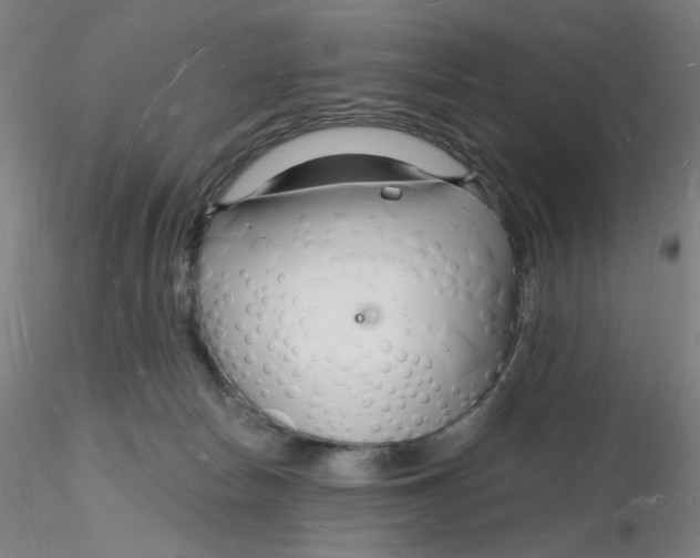 X0000116130178200912211723