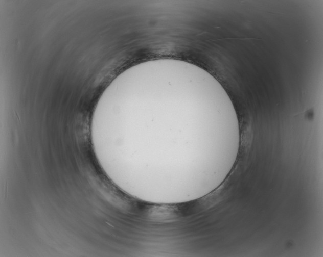 X0000116130179200912211723