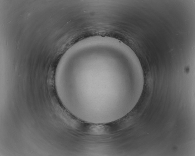 X0000116130181200912211723