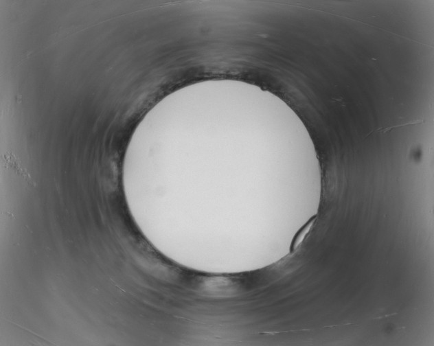 X0000116130183200912211723