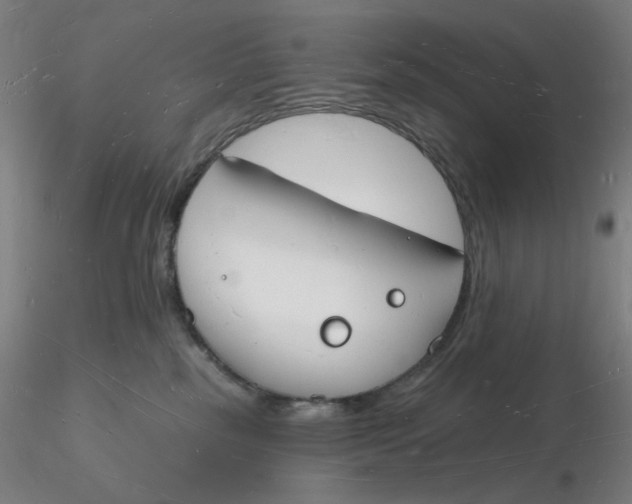 X0000116130185200912211723