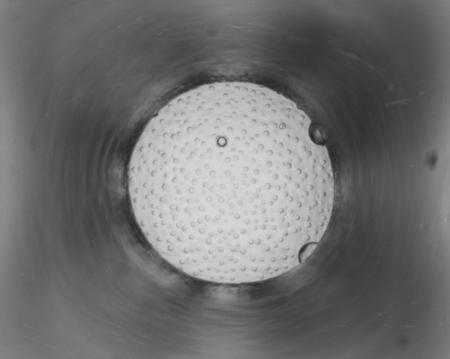 X0000116130187200912211723