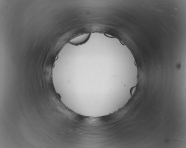 X0000116130189200912211723