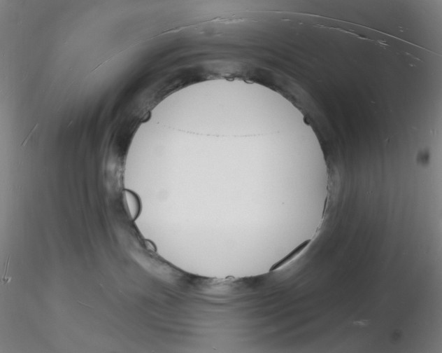 X0000116130191200912211723
