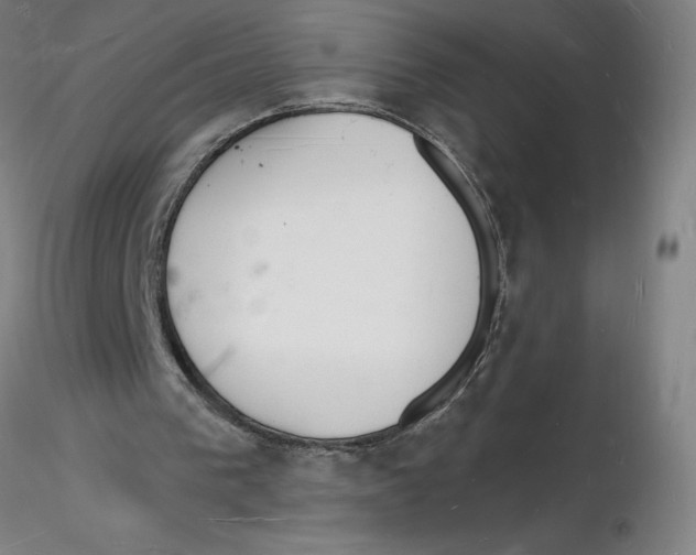 X0000116130193200912211722