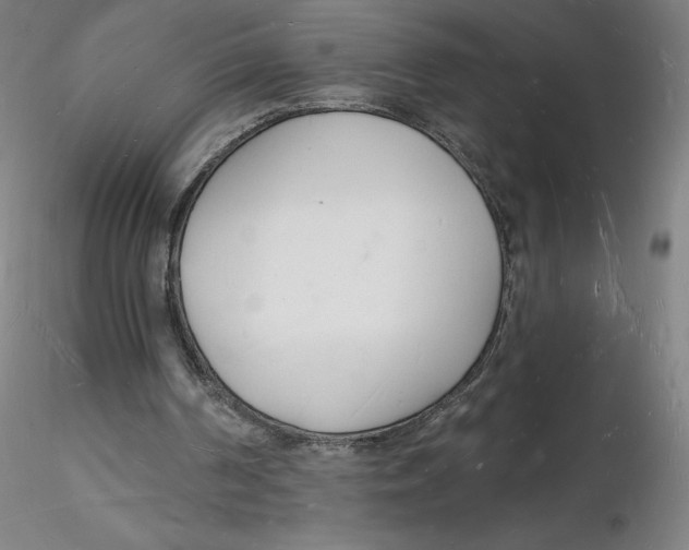 X0000116130194200912211722