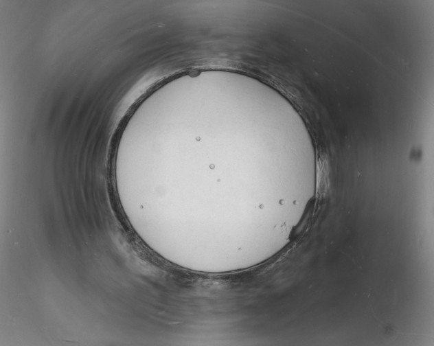 X0000116130195200912211722