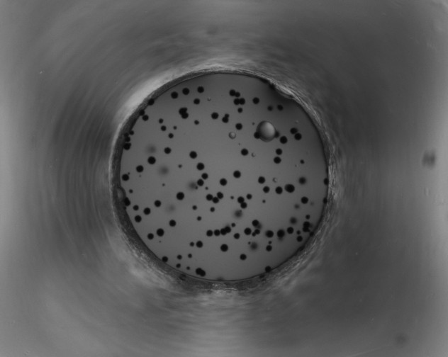 X0000116130196200912211722