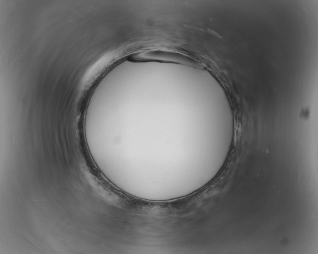 X0000116130197200912211722