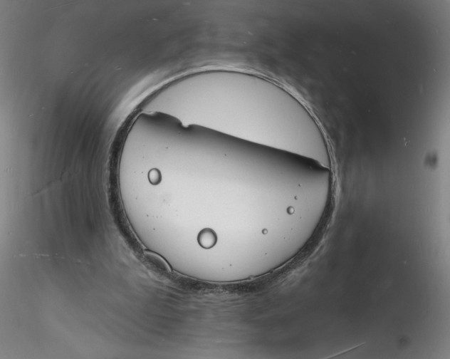 X0000116130199200912211722