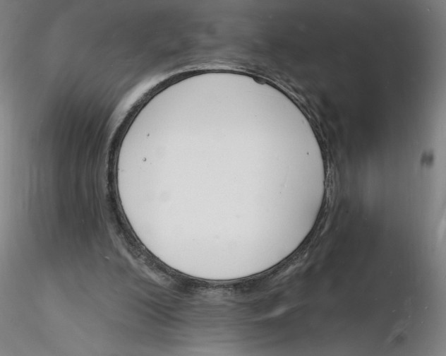X0000116130200200912211722