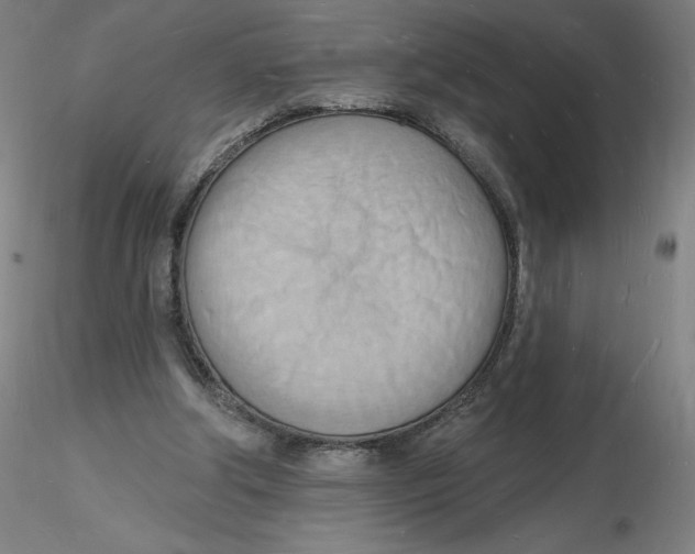 X0000116130202200912211722