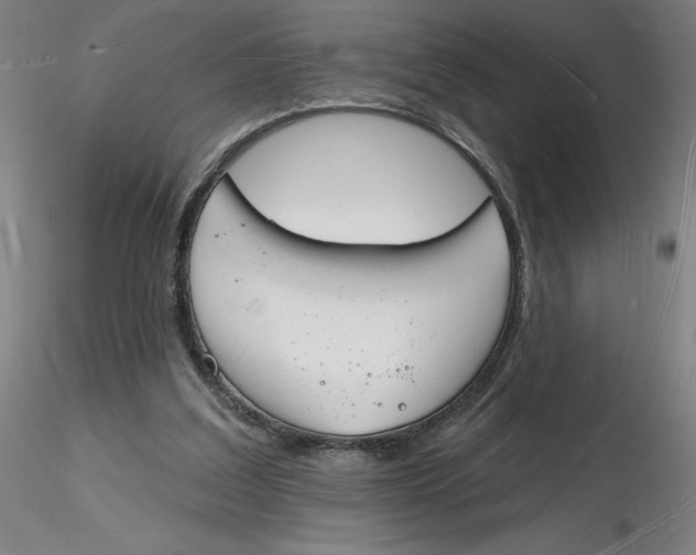 X0000116130203200912211722