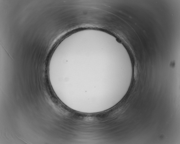 X0000116130204200912211722
