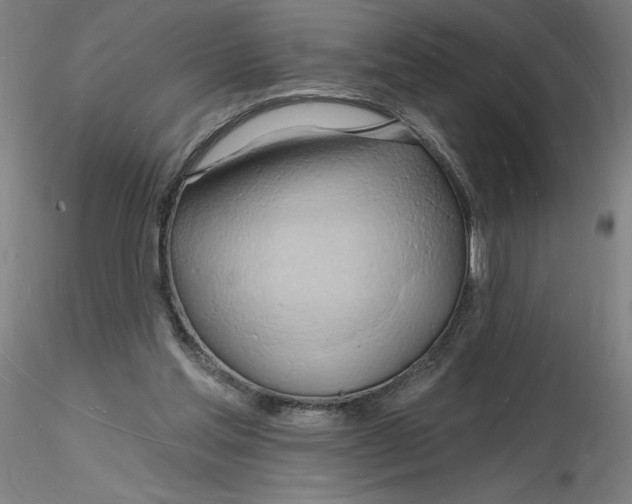 X0000116130205200912211722