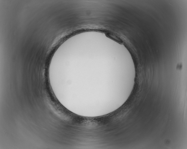 X0000116130207200912211722