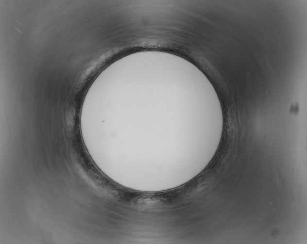 X0000116130208200912211722