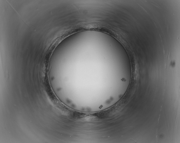 X0000116130210200912211722