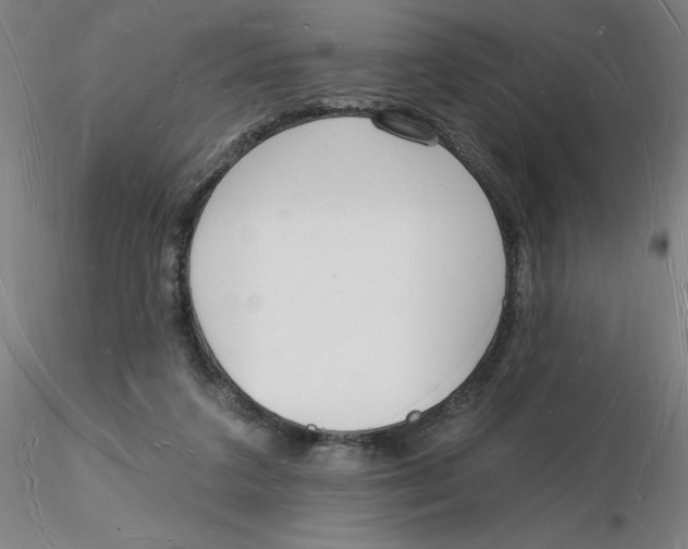 X0000116130211200912211722