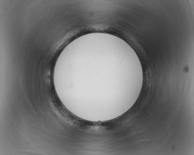 X0000116130212200912211722