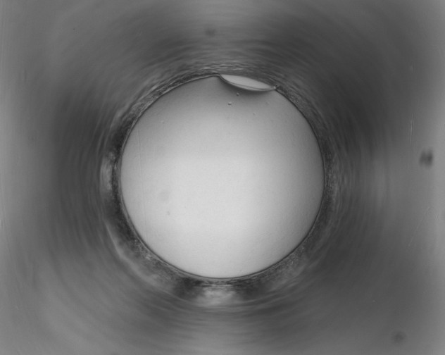 X0000116130214200912211722