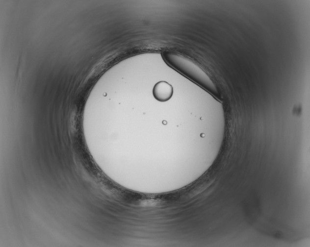 X0000116130216200912211722
