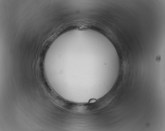 X0000116130217200912211722