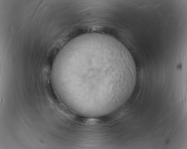 X0000116130222200912211722