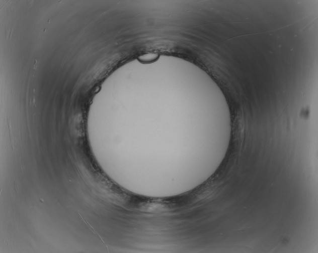 X0000116130224200912211722