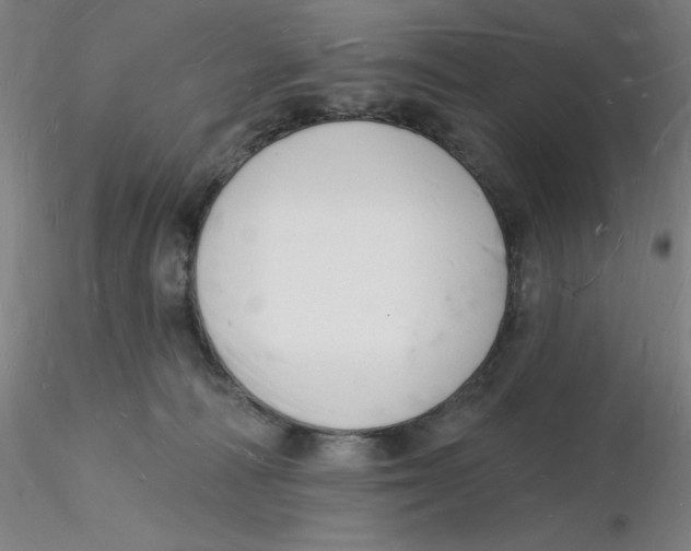 X0000116130226200912211722