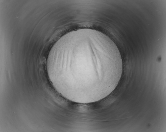 X0000116130229200912211722
