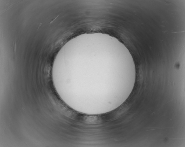 X0000116130230200912211722