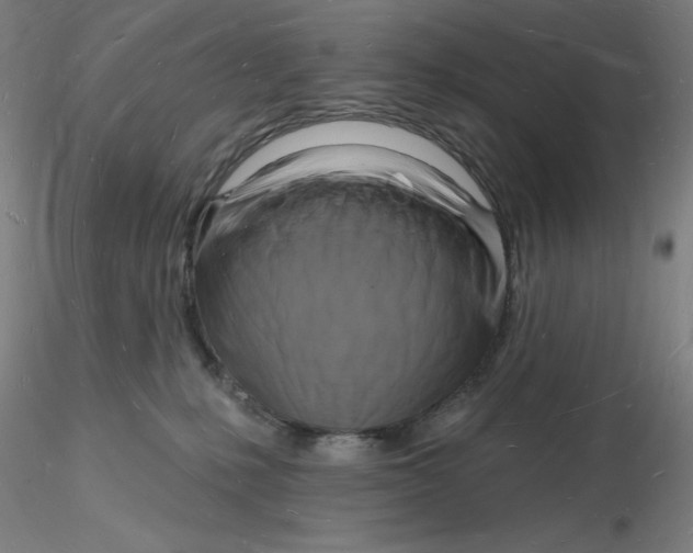 X0000116130231200912211722