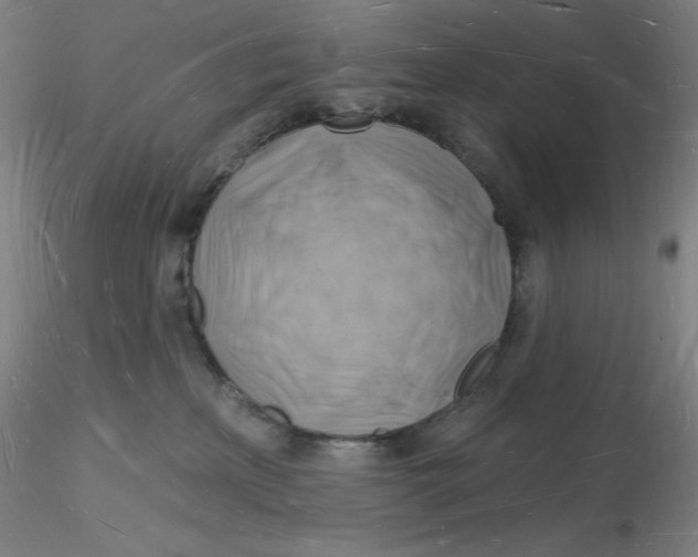 X0000116130233200912211722