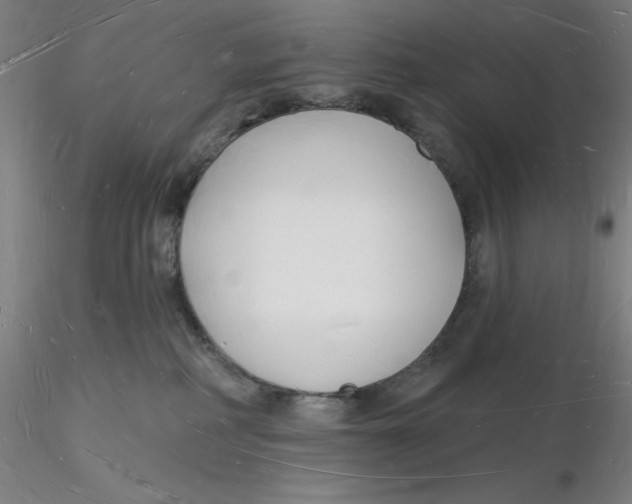 X0000116130234200912211722