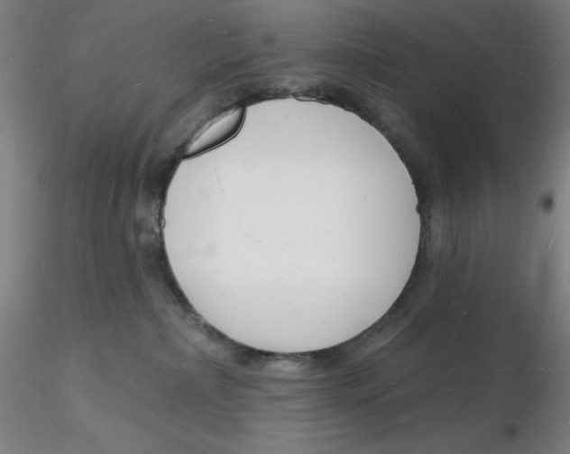 X0000116130236200912211722