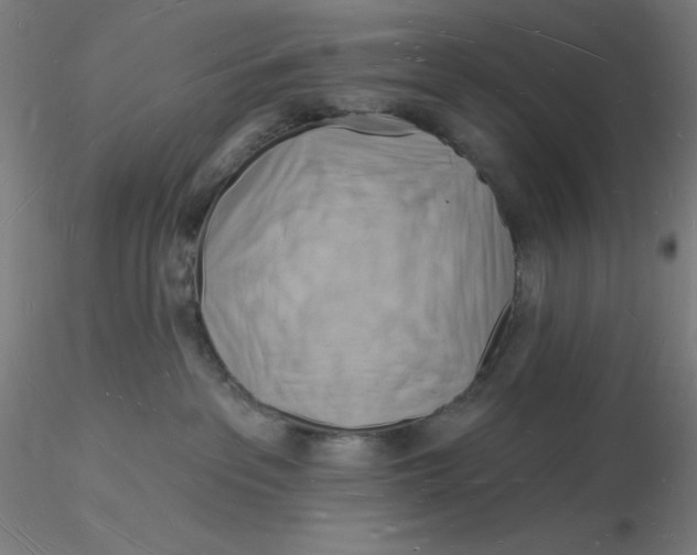 X0000116130237200912211722