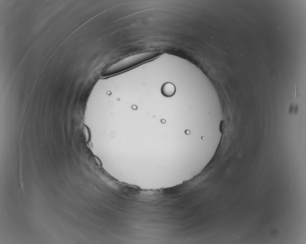 X0000116130240200912211721