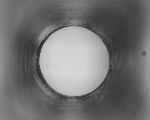 X0000116130242200912211721