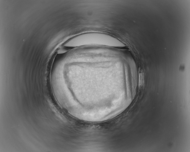 X0000116130243200912211721