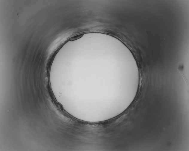 X0000116130245200912211721