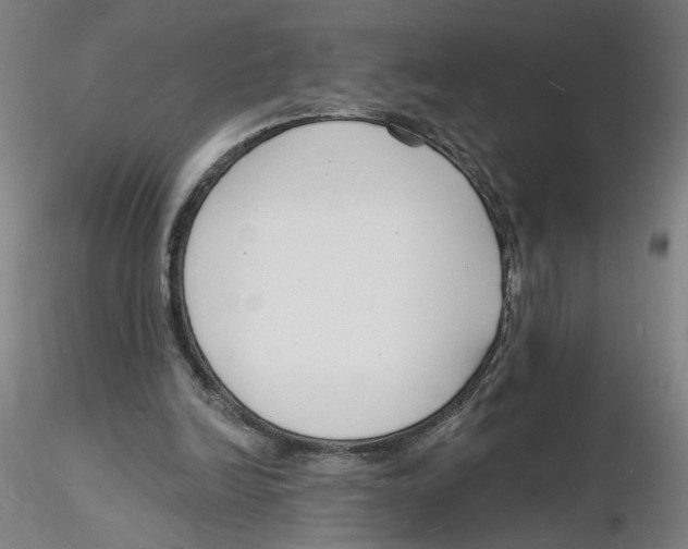 X0000116130246200912211721