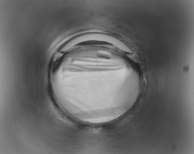 X0000116130247200912211721