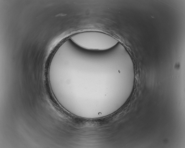 X0000116130248200912211721