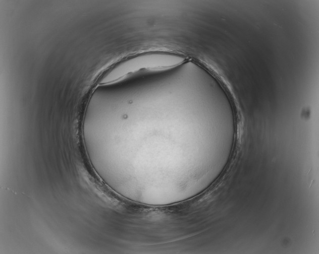 X0000116130249200912211721