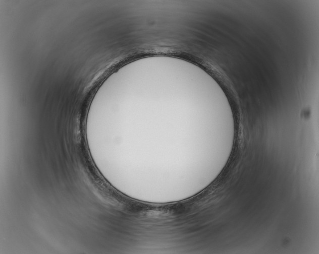 X0000116130251200912211721