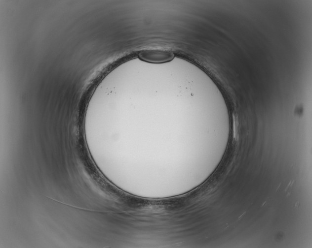 X0000116130252200912211721