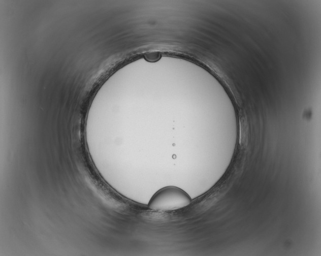 X0000116130253200912211721